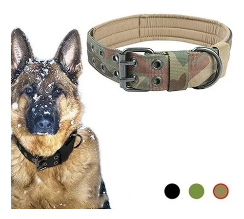 Collar Táctico Militar Para Perro Ajustable Hebilla Metalico