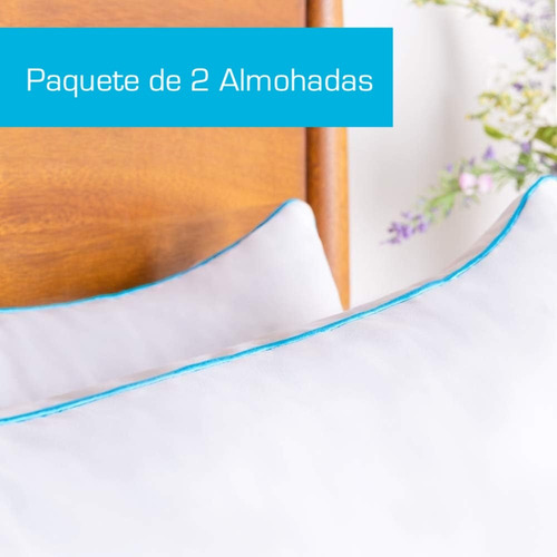Juego De 2 Almohadas Estándar Linenspa Memory Foam Triturad