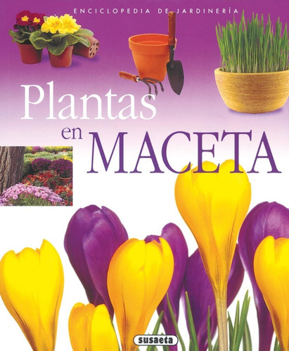 Plantas En Maceta / Enciclopedia De Jardinería