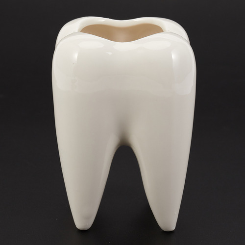 Maceta De Cerámica Blanca Con Forma De Diente, Diseño Modern