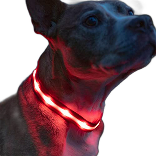 Blazin' Collar De Perro Del Led Usb Recargable Con Seguridad