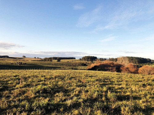 Imagen 2 de 9 de Campo - José Ignacio