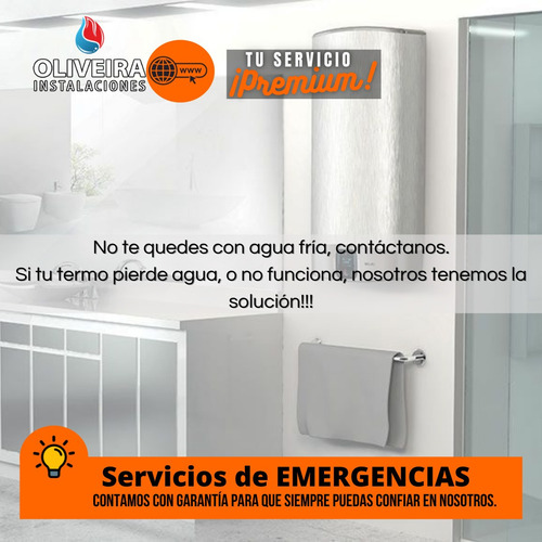 Imagen 4 de 5 de Service-reparacion De Termotanque Electrico-gas Multimarcas!