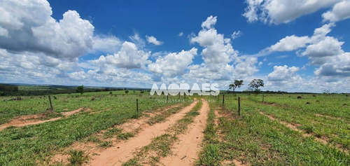 Imagem 13 de 18 de Fazenda Na Região De Bauru À Venda, 118 Alq Por R$ 15.000.000 - Bauru - Bauru/sp - Fa0016