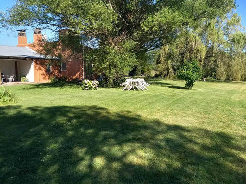 Imagen 3 de 30 de Chacra En Venta - Tandil