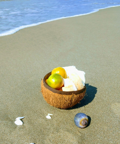 Bowl De Coco (drcocco) Tazon Ecologico Y Natural 1 Pza Café