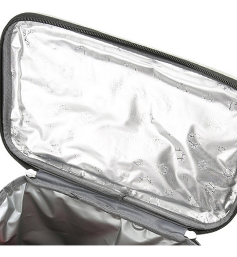 Bolsa Más Fresca Aislada De La Comida De La Mochila Del