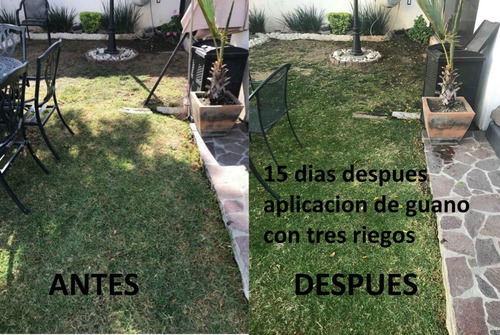 Guano De Murcielago 1 Kg. Mejor Fertilizante Organico (Usado)