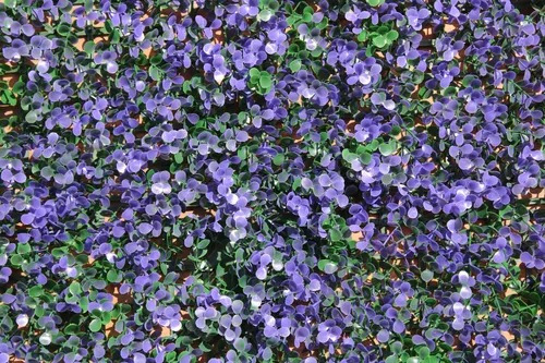 Follaje Artificial Muro Verde 3m2 Arrayan Morado Panel 25x25
