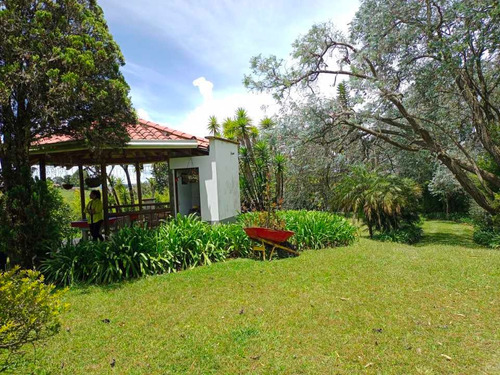 Imagen 2 de 30 de Linda Finca En Venta En Marinilla Con Buena Ubicación Y Lote Plano.