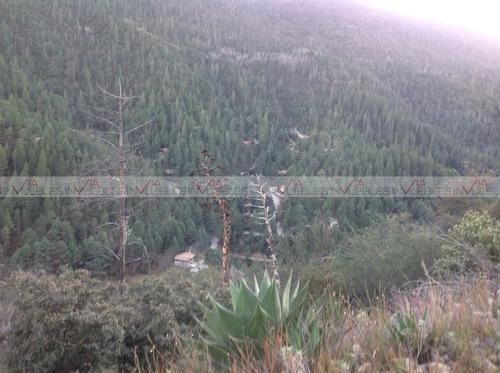 Venta Terreno Residencial Arteaga, Bosques De Monterreal En 