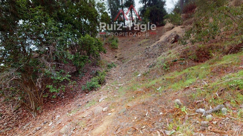 Imagen 2 de 13 de Venta De Maravilloso Terreno En Zapallar, Diego Sutil