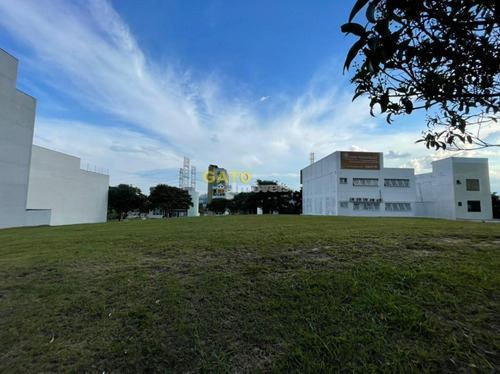 Imagem 6 de 10 de Terreno Comercial Para Venda Em Santana De Parnaíba, Alphaville - 21212_1-1836888