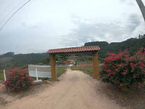 Imagem 3 de 15 de Sitio - Cocal Do Sul - Ref: 31069 - V-31066