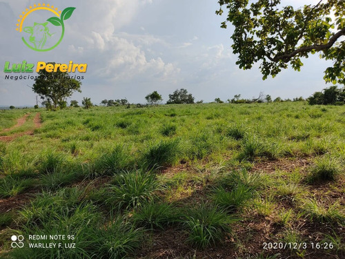 Imagem 3 de 11 de Fazenda À Venda Em Natividade - To - 309,76 Hectares (dupla Aptidão) - 2120