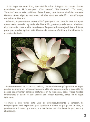 Vivir Mejor Con Ho Oponopono - Dana Britos (pdf)