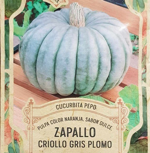 Pack Semillas Zapallo Criollo Plomo Cascara Gris X 5 Grs.