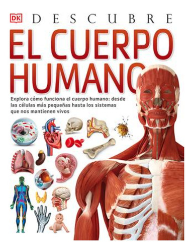 Descubre El Cuerpo Humano