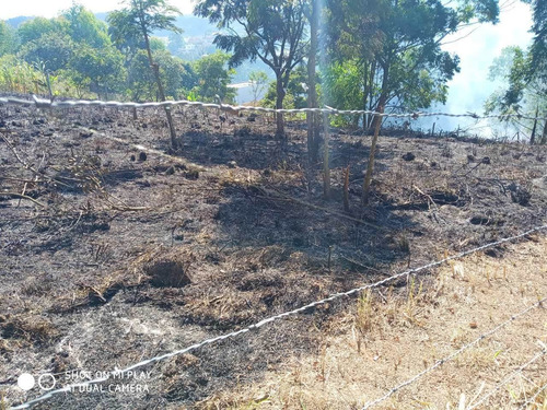 Imagem 3 de 6 de Terreno, Chácara Do Solar Ii (fazendinha), Santana De Parnaíba - R$ 350 Mil, Cod: 235328 - V235328