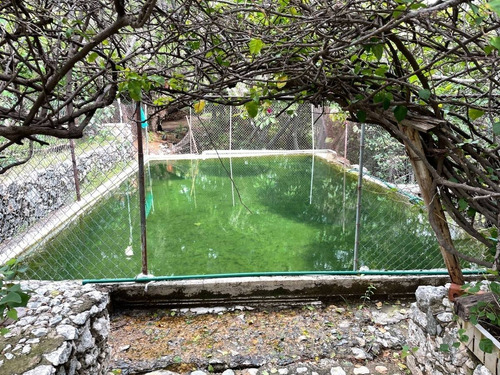 Imagen 20 de 21 de Mina Con Huerta, Cabañas Y Manantial En Guanajuato