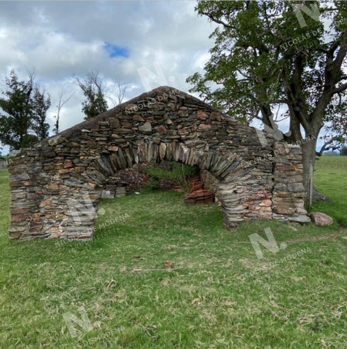 Imagen 13 de 15 de Venta Campo En Maldonado - Maldonado