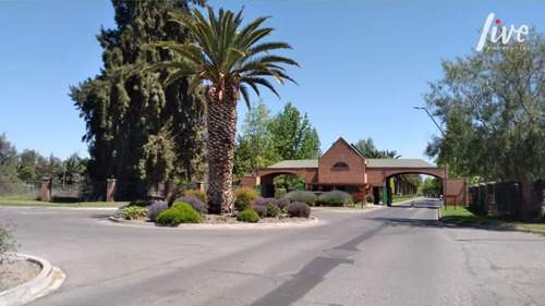 Vendo Sitio El Algarrobal 1, Chicureo. No Perimetral