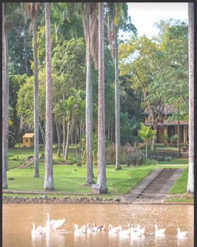 Imagem 1 de 5 de Terreno - Te04105 - 69377970