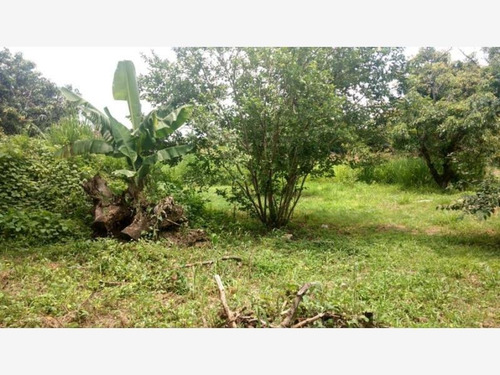 Imagen 8 de 12 de Terreno En Venta Ixtlahuacan
