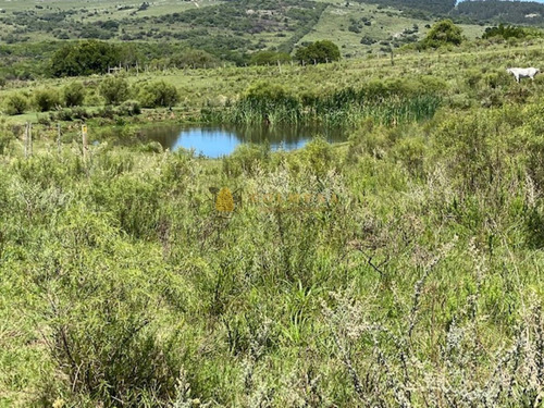 Campo Con Casa, Tajamar Monte Natural Muy Cerca De Aigua Consulte.- Ref: 1552