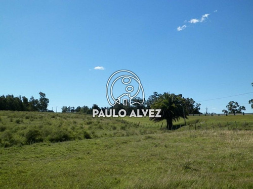 Imagen 21 de 22 de Chacras-venta-cerros-azules-ch064