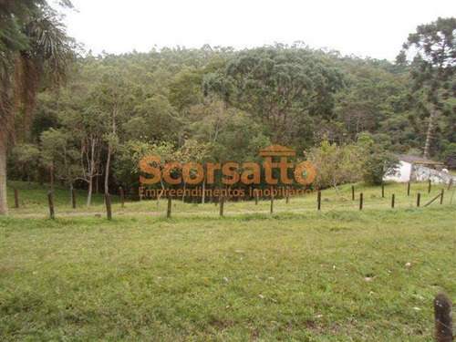 Imagem 8 de 12 de Área À Venda, Potuverá, Itapecerica Da Serra/sp - 4179