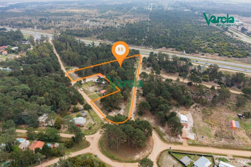 Imagen 2 de 8 de Terrenos Financiados En La Floresta Sur - Balnearios La Floresta