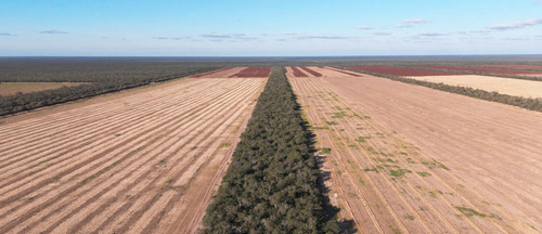 Campo En Santiago Del Estero