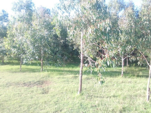 Oportunidad !! Chacra A 8 Km De Ciudad De Minas