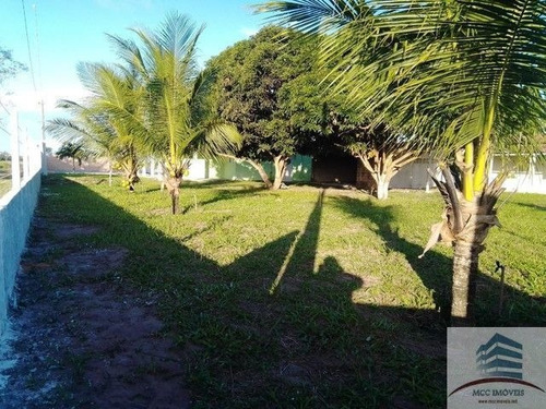 Imagem 13 de 19 de Granja A Venda São Gonçalo Do Amarante
