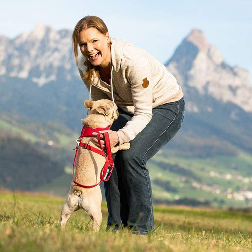 Curli Arnés Básico De Malla De Aire Para Perro Arnés De Masc