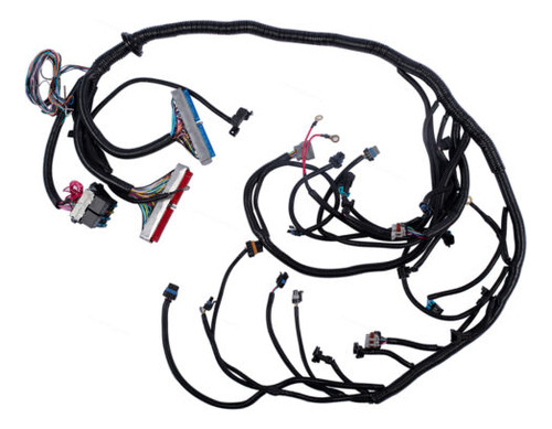Ls1 4l60e Drive By Cable Dbc Stand Alone Harness For 99- Yyc