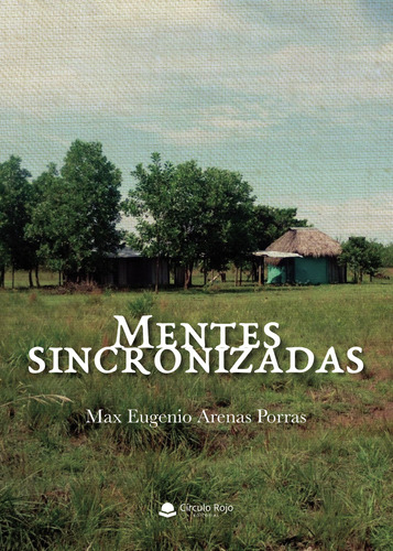 Mentes Sincronizadas (libro Original)