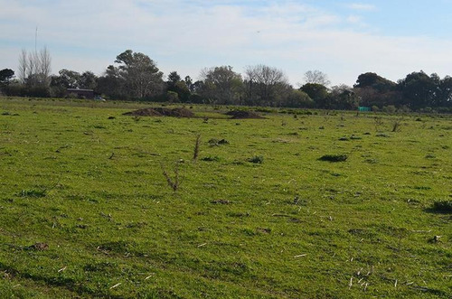 Imagen 10 de 17 de Terreno Para Empredimiento Manzanares 15 Hectareas