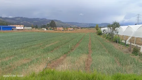 Se Vende Lote De 2000 M2