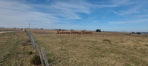 Imagen 3 de 7 de Venta De Chacra 15 Has En San Carlos, Maldonado