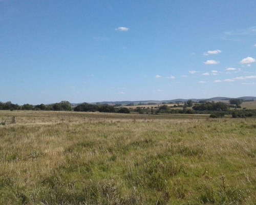 Mieres Vende 79.50 Has | Campo | Camino Corte De La Leña