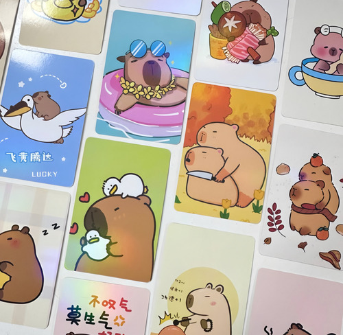 Photo Card De Capybara 55 Pcs