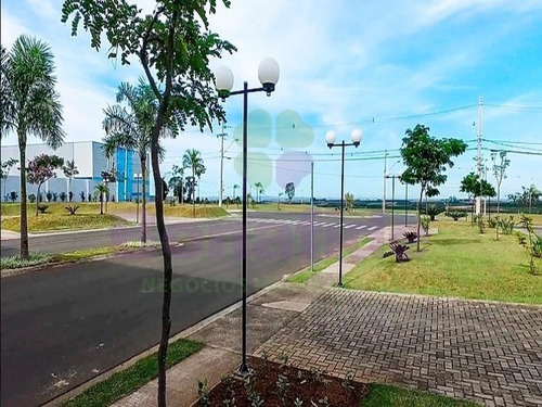Imagem 12 de 28 de Terreno Industrial, W Park Condomínio Industrial, Mongi Mirim - Te08616 - 34837415