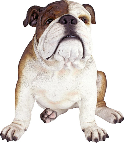 Design Toscano Db383052 Buster The Bulldog