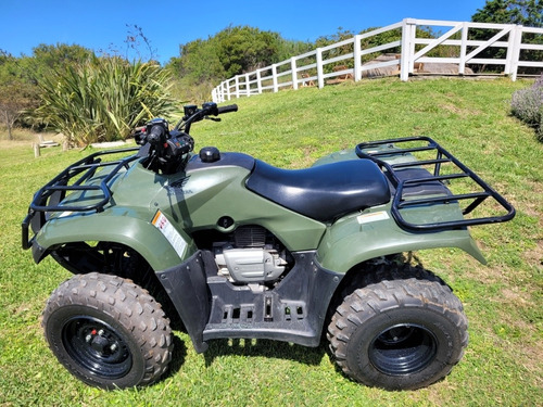 Imagen 2 de 24 de Honda Trx 250
