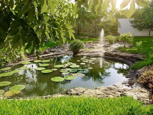Imagen 10 de 10 de Venta De Casa Lote 96 En La Ceiba Ii
