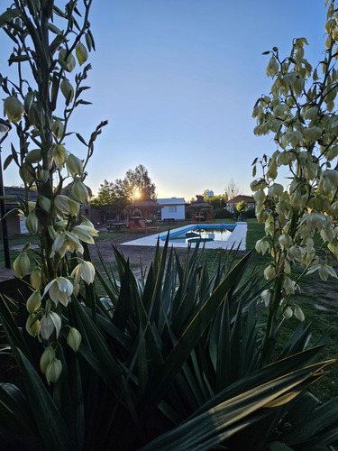 Alquiler De Casa, Departamento Y Cabañas En San Rafael, Mendoza. Para Turismo.
