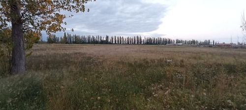 Imagen 7 de 10 de Terreno Ideal Para Fraccionamiento
