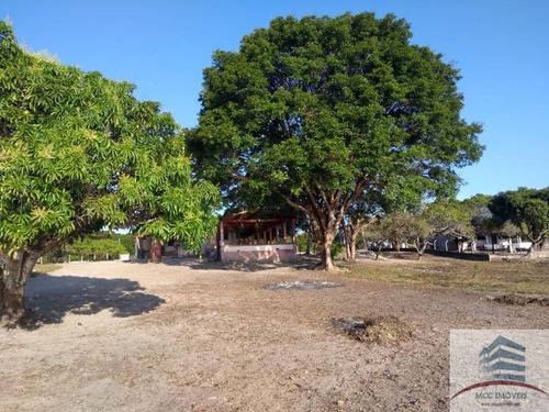 Imagem 13 de 15 de Chácara A Venda Beira A Lagoa Da Boa Água